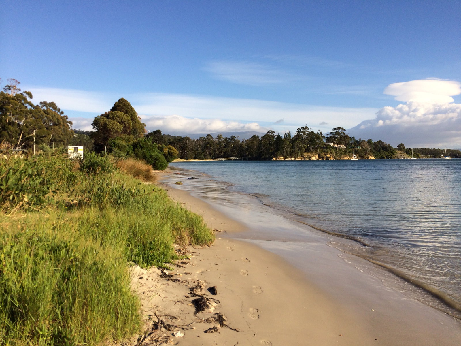 Snug TAS Sydneys Hotel