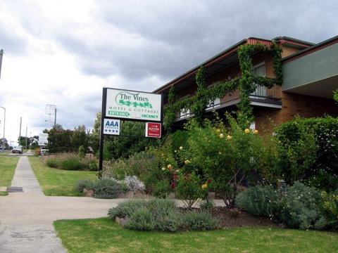 The Vines Motel & Cottages - Sydneys Hotel 0