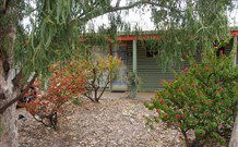 Lightning Ridge Outback Resort And Caravan Park - Sydneys Hotel 3