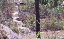 Wollemi Adventure Resort - Sydneys Hotel 2