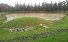 Wollemi Adventure Resort - Sydneys Hotel 5