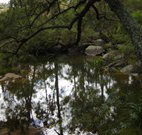 Hidden Valley Farm - Sydneys Hotel