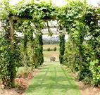 All Saints Bed and Breakfast - Sydneys Hotel