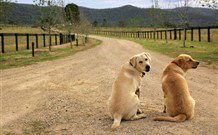 Pemberley Grange Hunter Valley Getaway - Sydneys Hotel 1