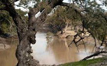 Valley View Cottage Hunter Valley - Sydneys Hotel 0