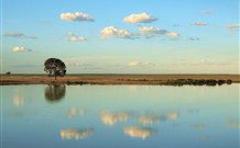Valley View Cottage Hunter Valley - Sydneys Hotel 4
