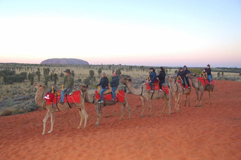 Ayers Rock - Outback Pioneer Lodge - Sydneys Hotel 1