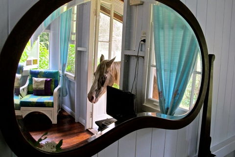 Noosa Avalon Farm Cottages - Sydneys Hotel 10