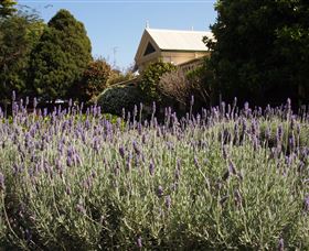 Vacy Hall Toowoomba's Grand Boutique Hotel Since 1873 - Sydneys Hotel 2