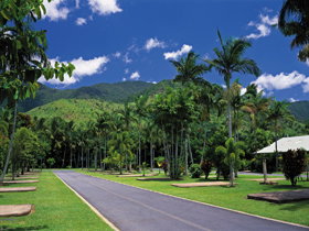 BIG4 Cairns Crystal Cascades Holiday Park - Sydneys Hotel 1