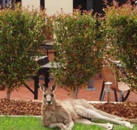 Alpha Canberra Hotel and Apartments - Sydneys Hotel