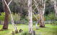 Fifth Ave Katoomba Retreat - thumb 2