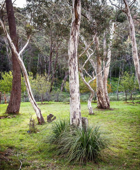 Fifth Ave Katoomba Retreat - Sydneys Hotel 2
