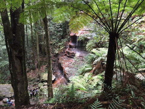 Fifth Ave Katoomba Retreat - Sydneys Hotel 9