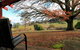 Jamieson Valley Retreat - thumb 2