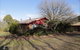 Jamieson Valley Retreat - thumb 3