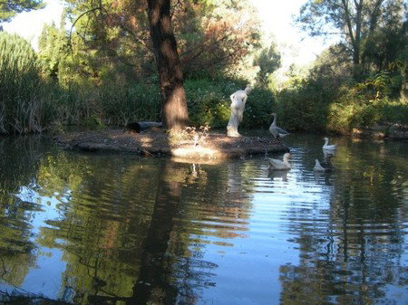 Lyndoch Hill Retreat - Sydneys Hotel 2