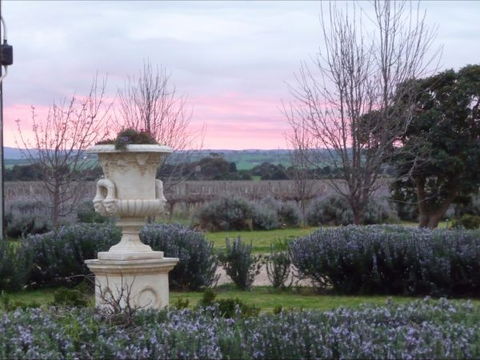 Angas Plains Estate Wines Heritage Suite - Sydneys Hotel 4