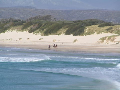 Arties Cottage Accommodation - Sydneys Hotel 5