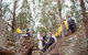 Granite Belt Brewery Retreat - thumb 8
