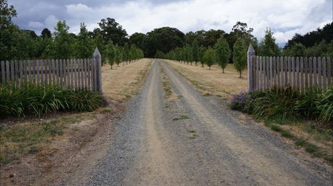 Oakhill Cottage - Sydneys Hotel 7