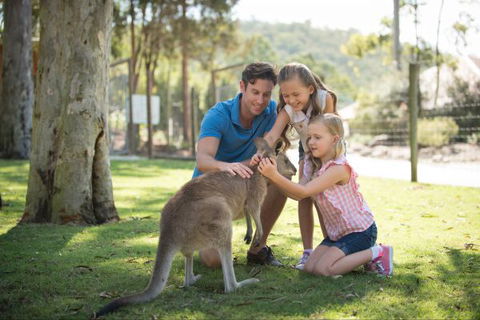 Paradise Country Farmstay - Sydneys Hotel 7
