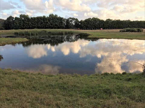 Woodbyne Resort - Sydneys Hotel 2