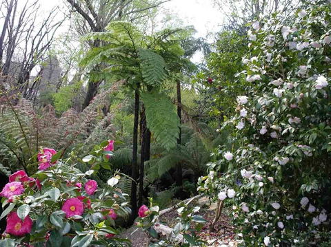 Adelaide Hills B&B Accommodation - Sydneys Hotel 3