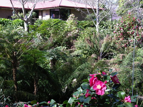 Adelaide Hills B&B Accommodation - Sydneys Hotel 6