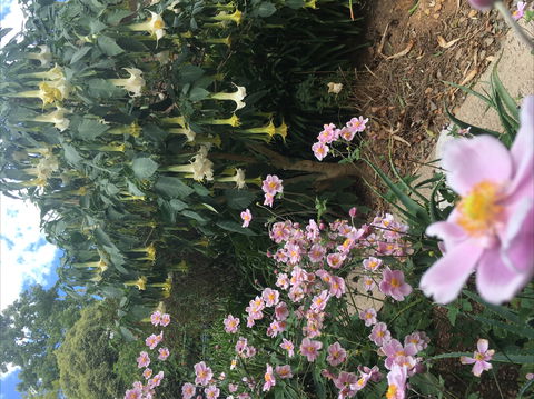 Adelaide Hills B&B Accommodation - Sydneys Hotel 7