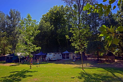 Ardern's Caravan Park Myrtleford - Sydneys Hotel 0