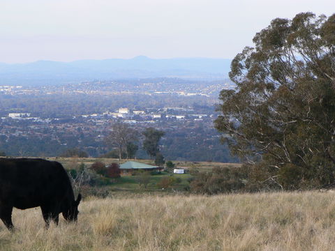 Gaddleen Grove Cottages - Sydneys Hotel 8