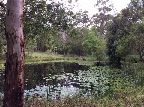 Maleny Country Cottages - Sydneys Hotel 3