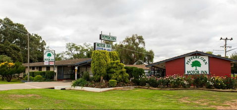 Peppercorn Motor Inn - Sydneys Hotel 0