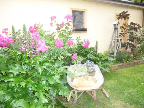 Aggies Bed And Breakfast - Sydneys Hotel 2
