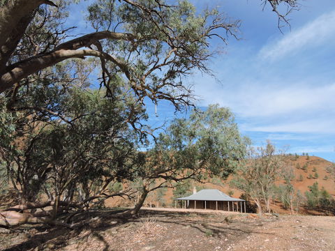 Alpana Station - Sydneys Hotel 6