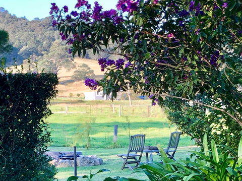 Arcadia Cottages At Cambewarra - Sydneys Hotel 5