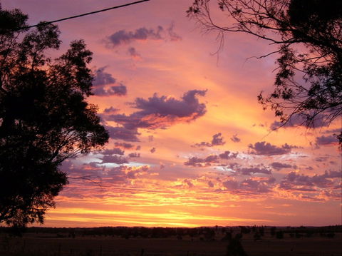A Sunset View Bed And Breakfast - Sydneys Hotel 0