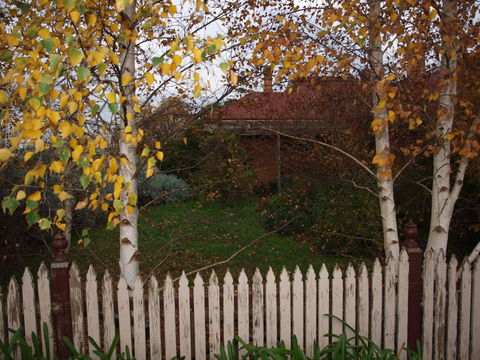 Pierrepoint Wines Bed & Breakfast - Sydneys Hotel 6
