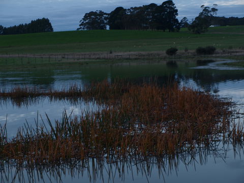 Pierrepoint Wines Bed & Breakfast - Sydneys Hotel 8