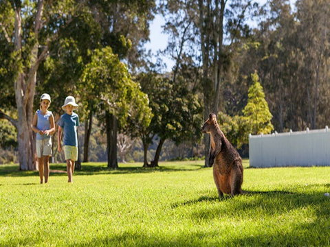 The Basin Campground - Sydneys Hotel 4
