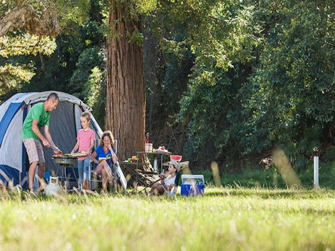 The Basin Campground - Sydneys Hotel 5