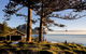 Pinetrees Lodge - thumb 0