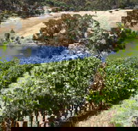 Se7en On Sevenhill - Sydneys Hotel