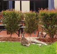 Alpha Canberra Hotel - Sydneys Hotel