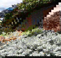 Kangaroos in the Top Paddock - Sydneys Hotel