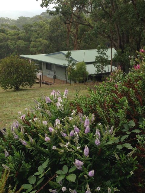 Southern Anchorage Retreat - Sydneys Hotel 1