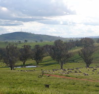 Wantana Cottage Farm Stay