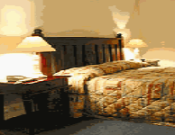 Comfort Inn Treetop Walk - Sydneys Hotel