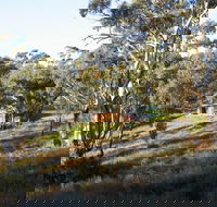 Molly's Chase - Sydneys Hotel